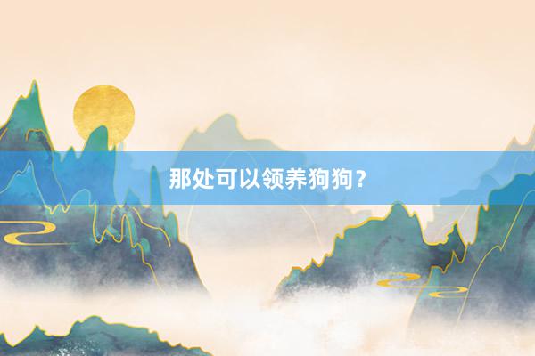 那处可以领养狗狗？